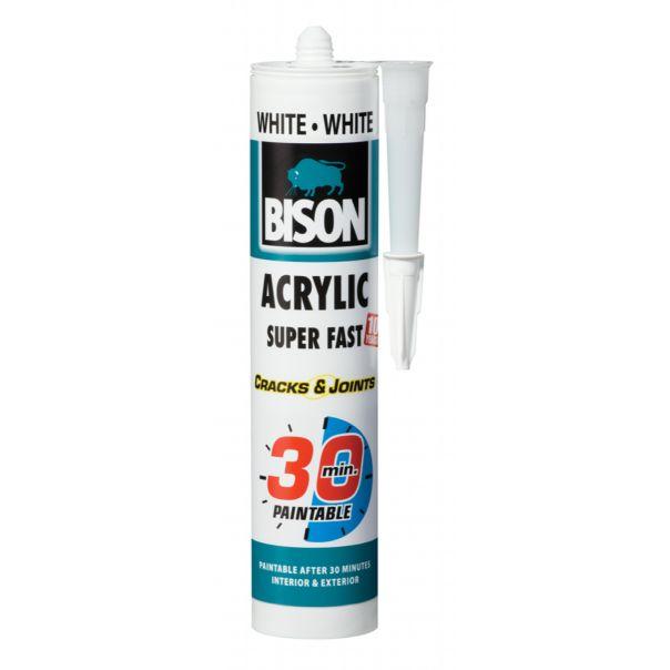 BISON ACRYLIC 30 min WHITE 300