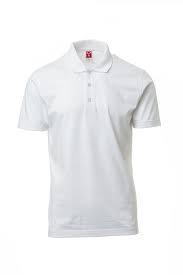 POLO MAJICA PAYPER AM BELA XL